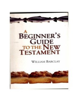 A Beginner's Guide to the New Testament