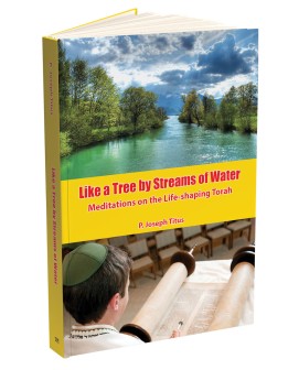 Like a Tree by Streams of Water: Meditations on the Life-shaping Torah