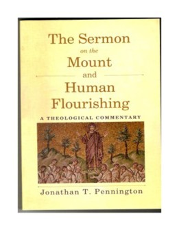 The Sermon on the Mount and Human Flourishing A THEOLOGICAL COMMENTARTY