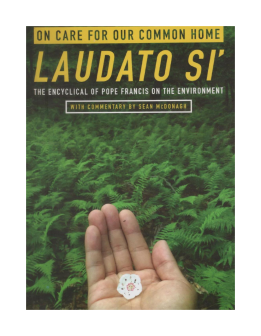 On Care for Our Common Home Laudato Si" the Encyclical of Pope Francis on the Environment