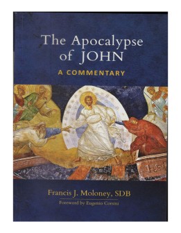 The Apocalypse of John a Commentary