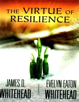 The Virtue of Resilience